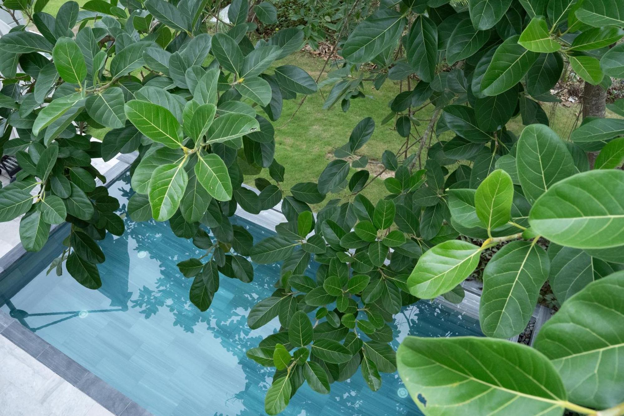 "Brg Golf Club" - Danang Private Pool Villa 3 Bedrooms #1 Exterior photo